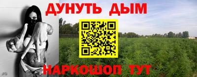 твердый Будённовск