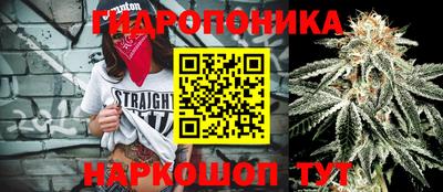 твердый Будённовск